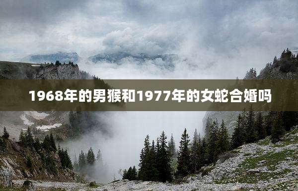 1968年的男猴和1977年的女蛇合婚吗