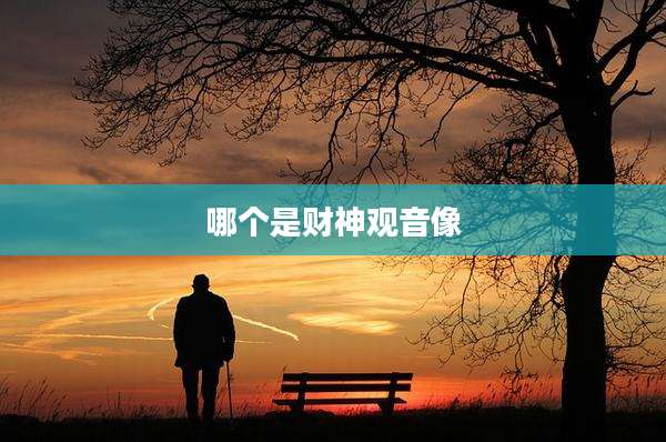 哪个是财神观音像