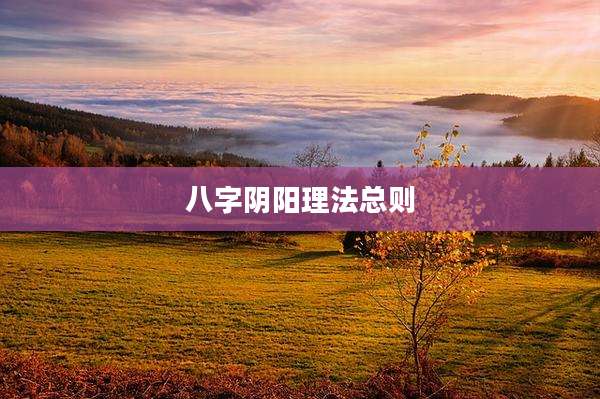 八字阴阳理法总则