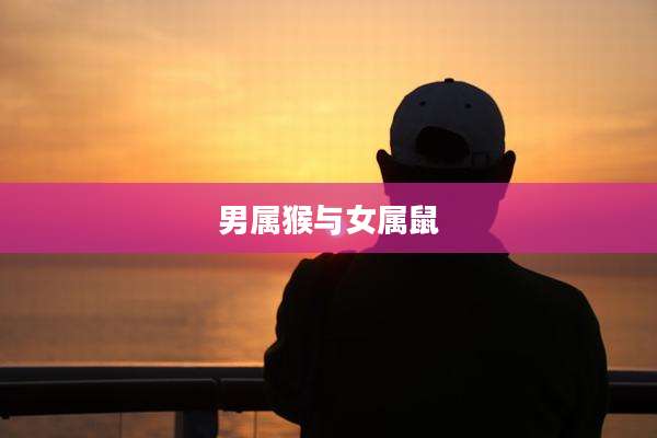 男属猴与女属鼠