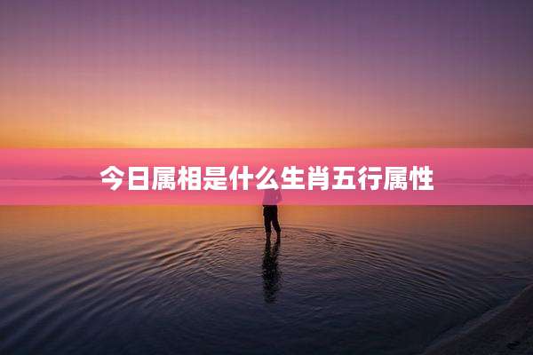 今日属相是什么生肖五行属性