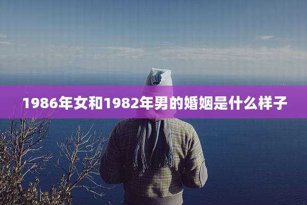 1986年女和1982年男的婚姻是什么样子