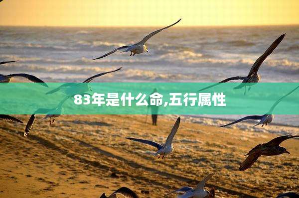 83年是什么命,五行属性