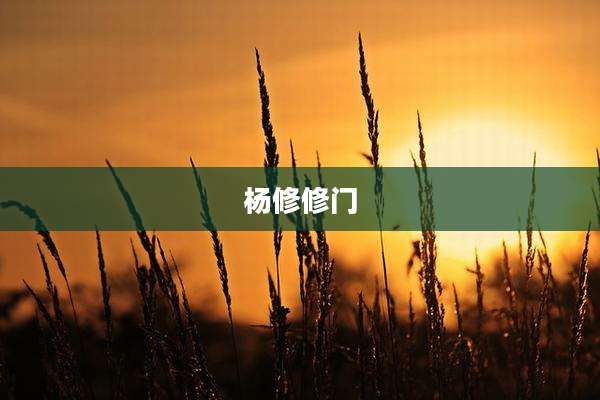 杨修修门