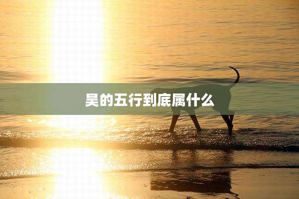 昊的五行到底属什么