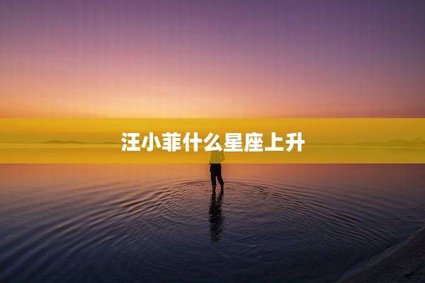 汪小菲什么星座上升