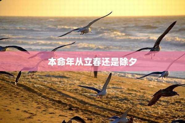 本命年从立春还是除夕