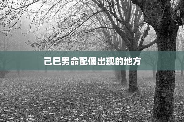 己巳男命配偶出现的地方