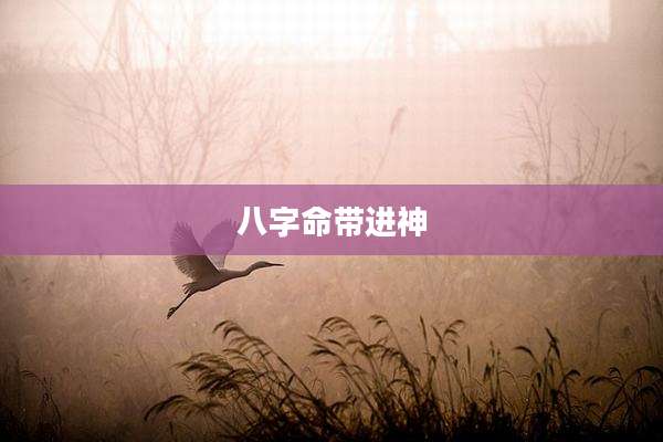 八字命带进神