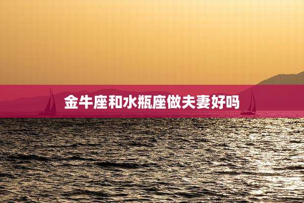 金牛座和水瓶座做夫妻好吗