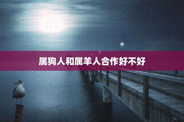 属狗人和属羊人合作好不好