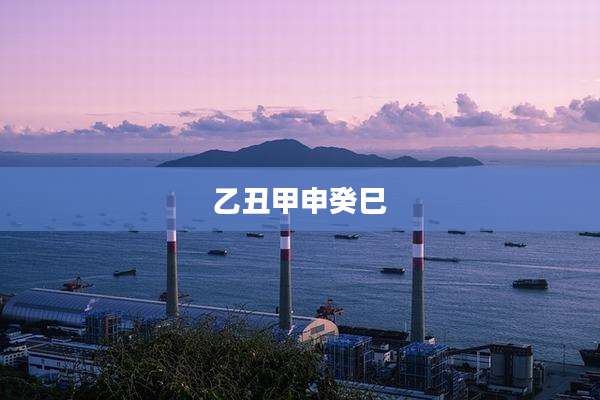 乙丑甲申癸巳
