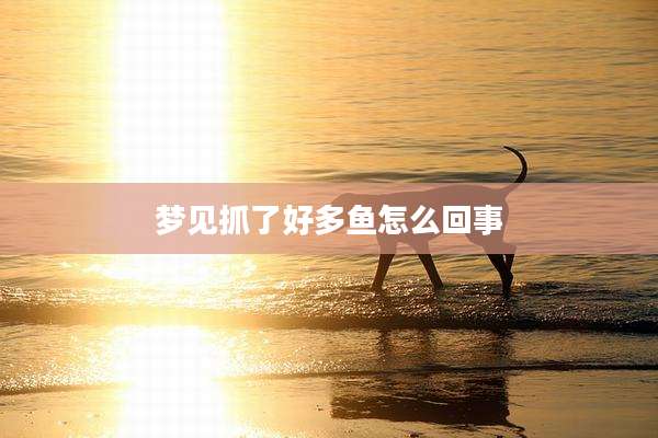 梦见抓了好多鱼怎么回事