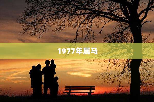1977年属马