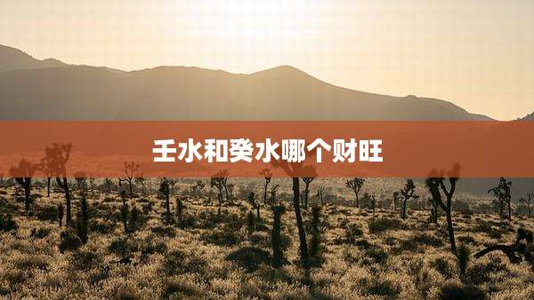 壬水和癸水哪个财旺