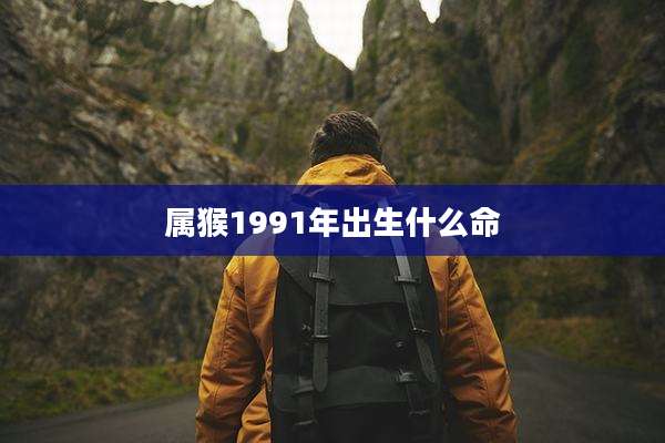 属猴1991年出生什么命
