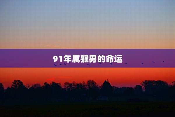 91年属猴男的命运