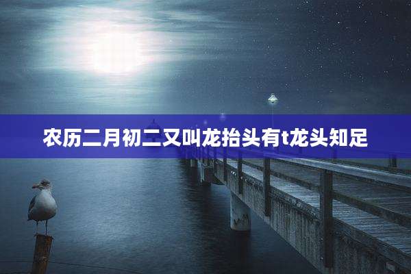 农历二月初二又叫龙抬头有t龙头知足