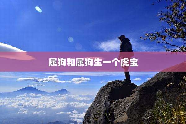 属狗和属狗生一个虎宝