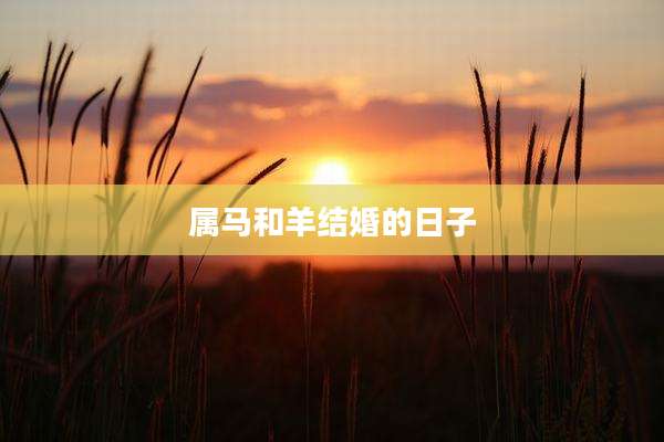 属马和羊结婚的日子