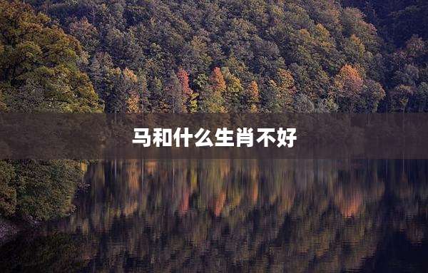 马和什么生肖不好