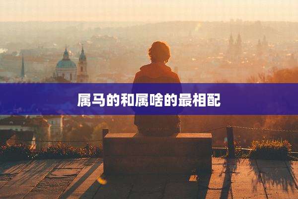 属马的和属啥的最相配