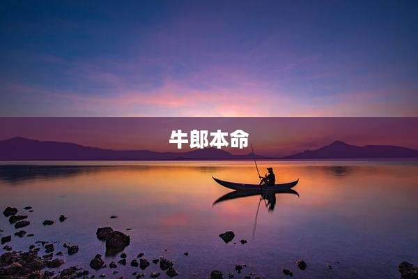 牛郎本命