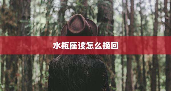 水瓶座该怎么挽回