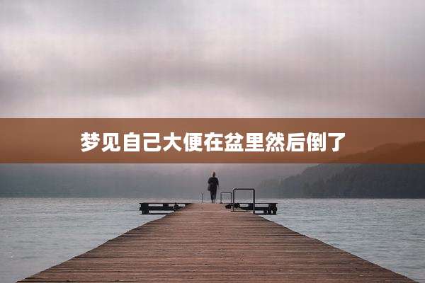梦见自己大便在盆里然后倒了