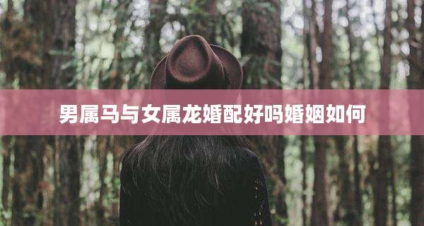 男属马与女属龙婚配好吗婚姻如何