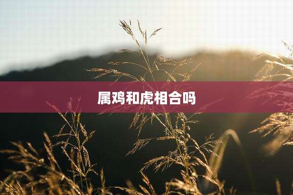属鸡和虎相合吗