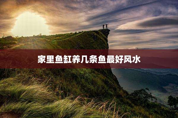 家里鱼缸养几条鱼最好风水