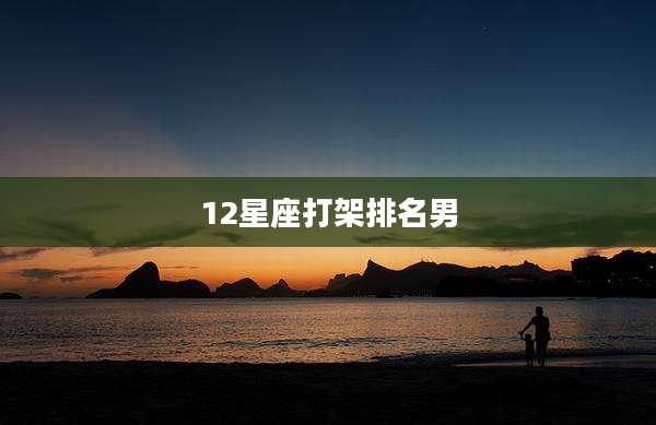 12星座打架排名男