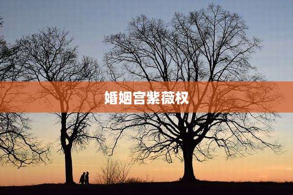 婚姻宫紫薇权