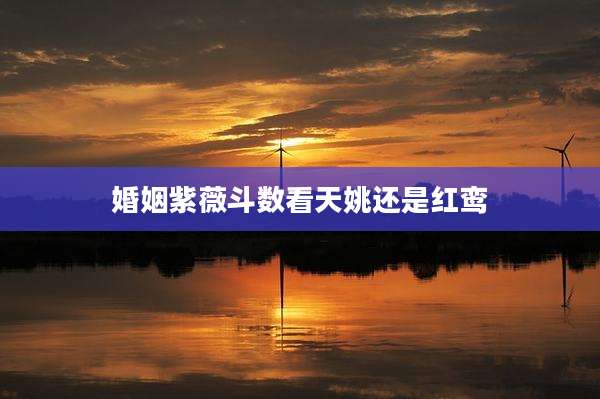 婚姻紫薇斗数看天姚还是红鸾