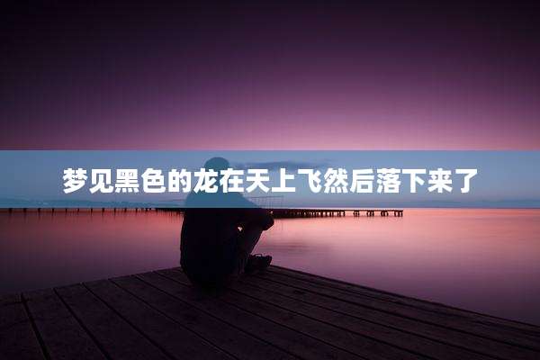 梦见黑色的龙在天上飞然后落下来了