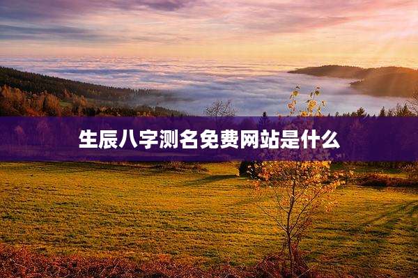 生辰八字测名免费网站是什么
