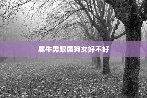 属牛男跟属狗女好不好