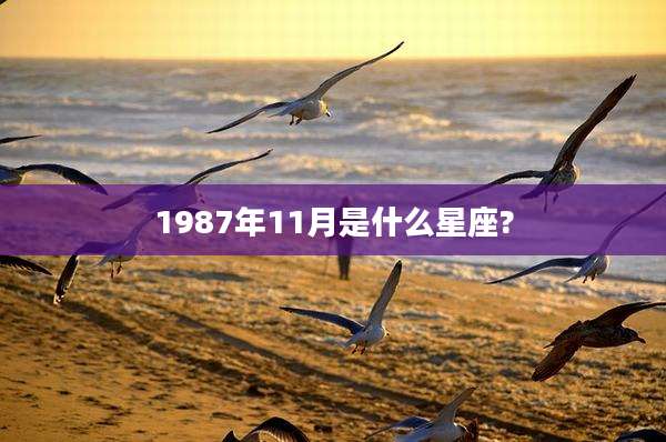 1987年11月是什么星座?