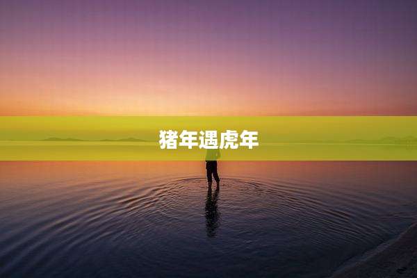 猪年遇虎年