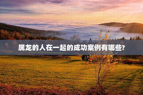 属龙的人在一起的成功案例有哪些?