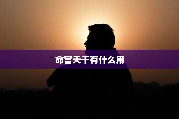 命宫天干有什么用