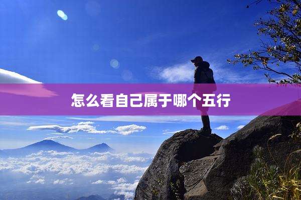 怎么看自己属于哪个五行