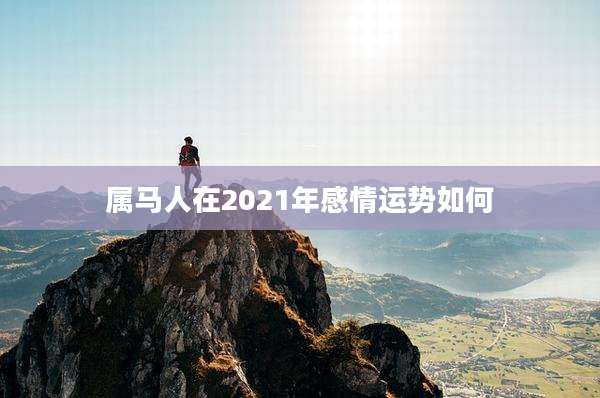 属马人在2021年感情运势如何