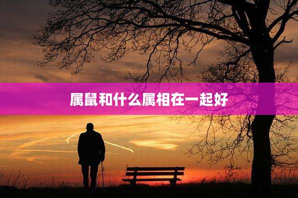 属鼠和什么属相在一起好