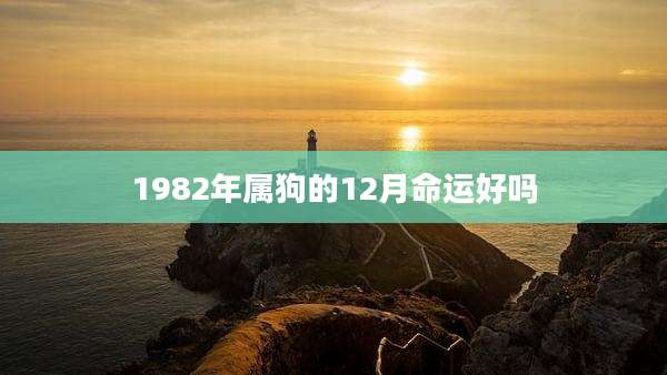 1982年属狗的12月命运好吗
