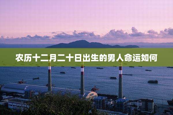 农历十二月二十日出生的男人命运如何