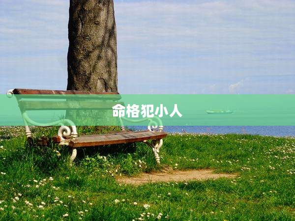 命格犯小人