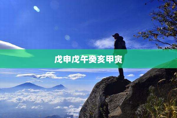 戊申戊午癸亥甲寅