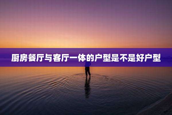 厨房餐厅与客厅一体的户型是不是好户型